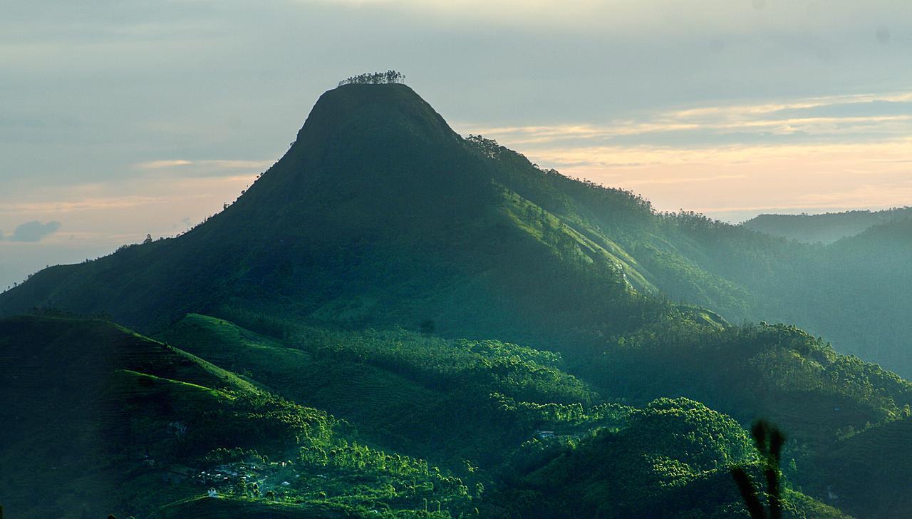 Villa Retreat - Boutique Hotel Kodaikanal Zewnętrze zdjęcie